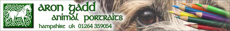 Aron Gadd Pet Portraits Banner Image