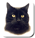 Top Quality Portraits by Animal and Pet portrait artist Aron Gadd