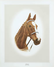 Aldaniti Thumbnail Image
